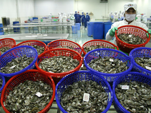 Khéo tay chế tương ớt nhà làm: Chị em kiếm tiền triệu mỗi ngày-4