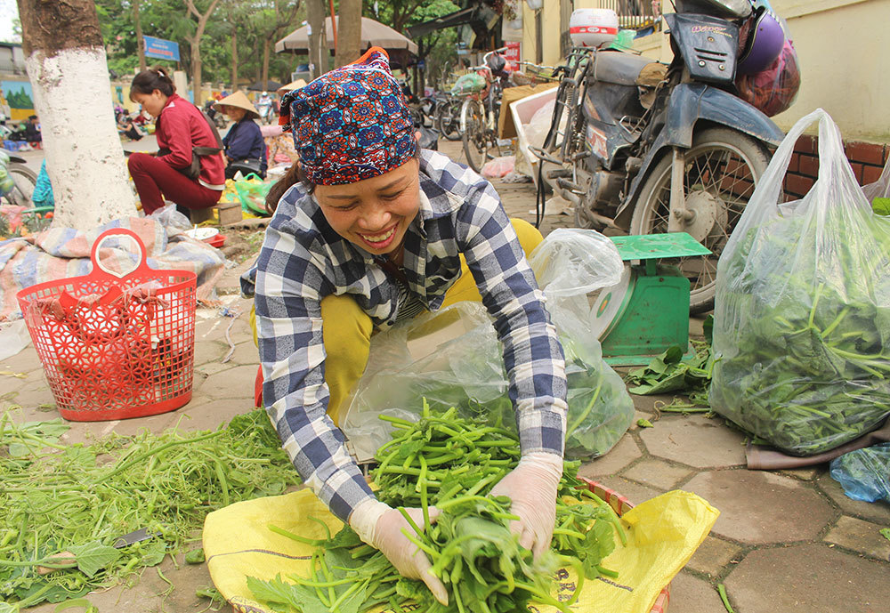 Cặp vợ chồng 20 năm giữa đảo hoang, mỗi ngày 2 tạ rau bí bán khắp Hà Nội-1