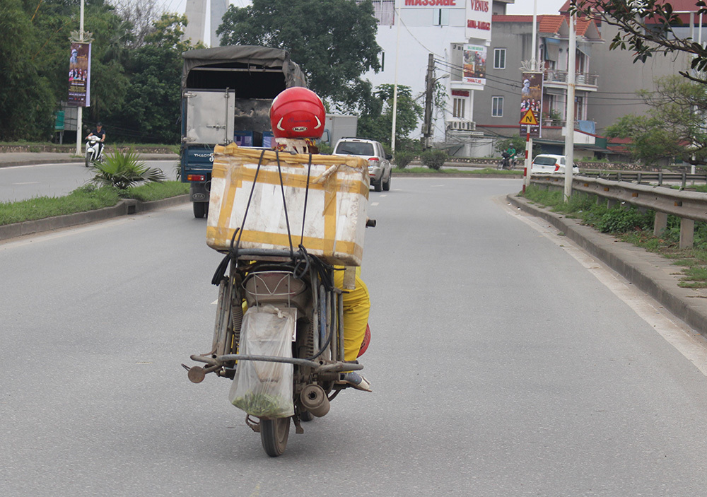 Cặp vợ chồng 20 năm giữa đảo hoang, mỗi ngày 2 tạ rau bí bán khắp Hà Nội-5