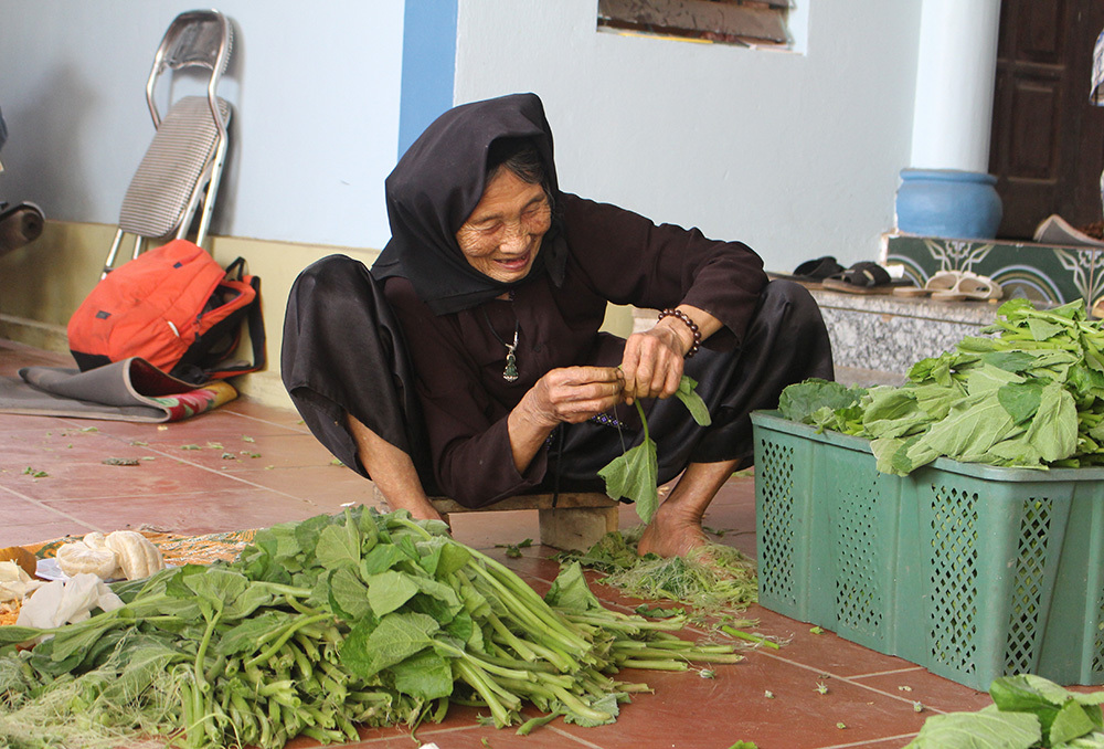 Cặp vợ chồng 20 năm giữa đảo hoang, mỗi ngày 2 tạ rau bí bán khắp Hà Nội-6