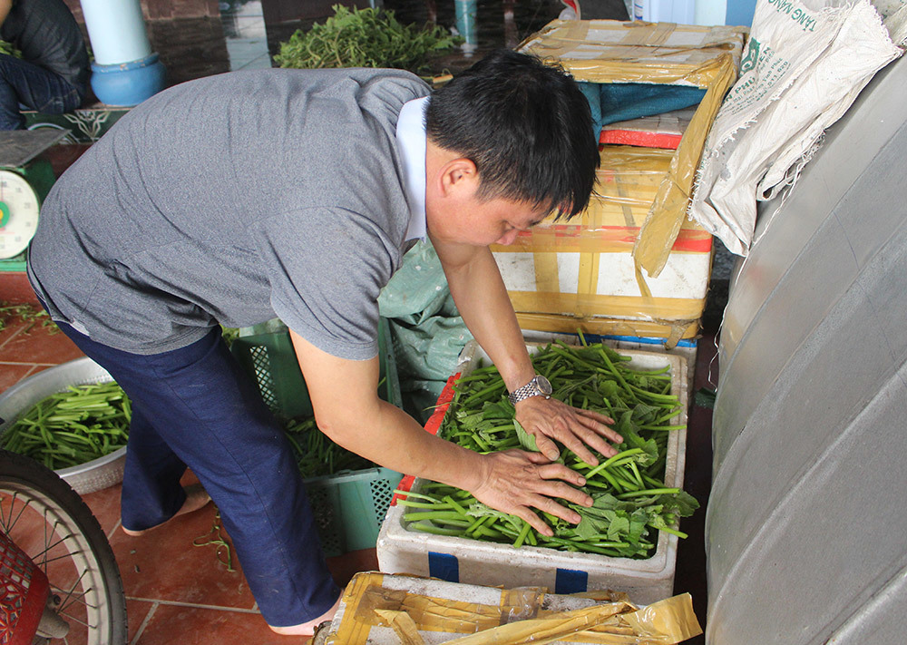 Cặp vợ chồng 20 năm giữa đảo hoang, mỗi ngày 2 tạ rau bí bán khắp Hà Nội-7