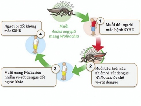 Trẻ bỗng dưng sốt - cần cho đi cấp cứu ngay khi có các dấu hiệu này-3
