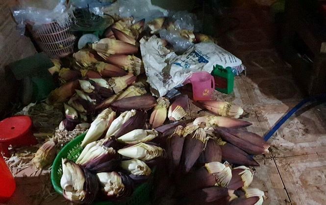 Phát hiện gần 2 tấn ngó sen, hoa chuối bào ngậm thuốc độc-3