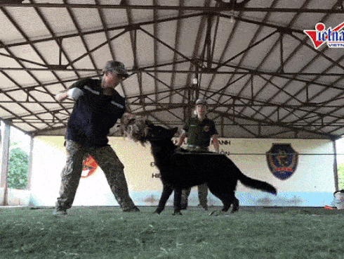 Bỏ con trai 9 tuổi một mình để đi chơi thâu đêm, bà mẹ trở về thấy con đã chết trong vũng máu, thủ phạm là kẻ không ai ngờ-5