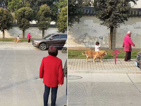 Bé gái 3 tuổi bị giáo viên mầm non trùm chăn lắc mạnh-5