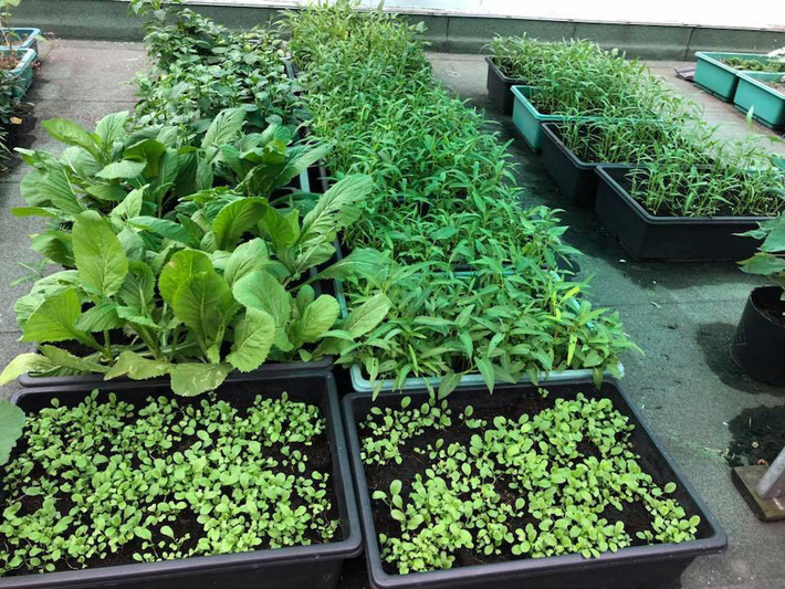 Ngắm biệt thự xa hoa rộng 200m², nơi Dương Cẩm Lynh từng sống trước khi ly hôn chồng đại gia-22