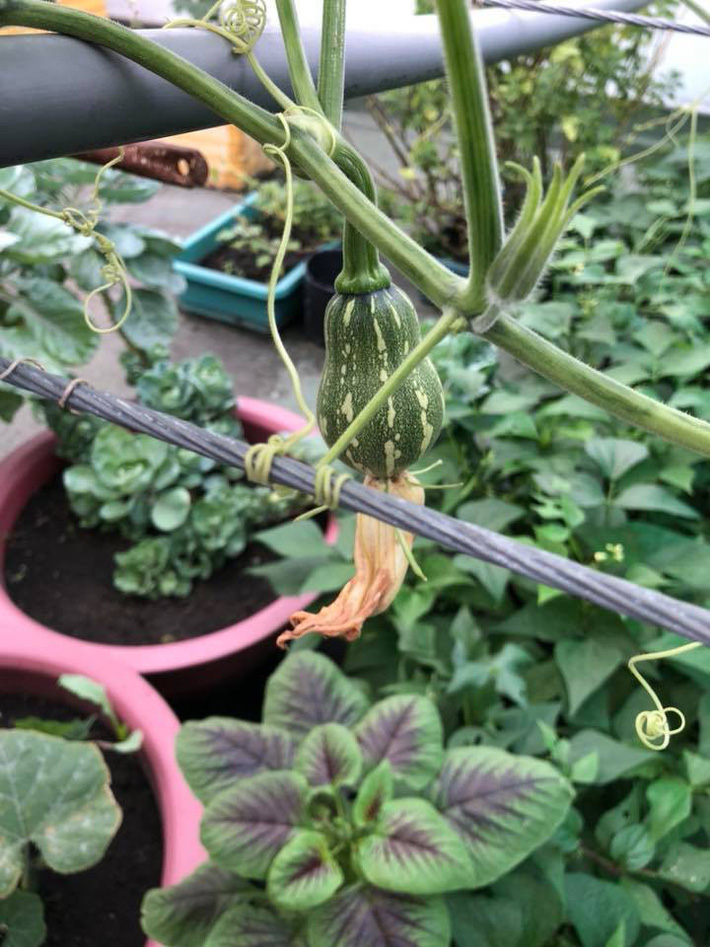 Ngắm biệt thự xa hoa rộng 200m², nơi Dương Cẩm Lynh từng sống trước khi ly hôn chồng đại gia-19