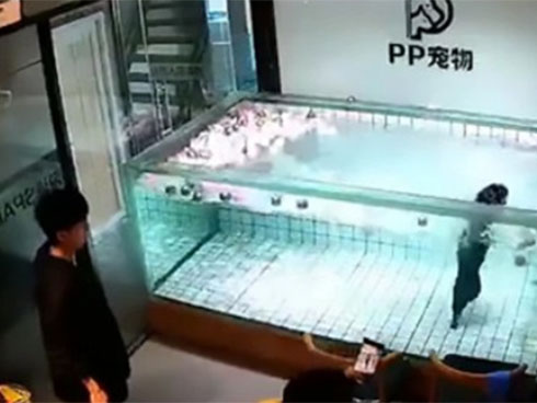 Con suýt chết đuối, mẹ bơi bên cạnh không hay biết-1