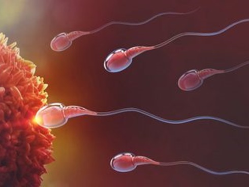 Thụ tinh của người cao 1m8 nhưng sinh con mắc bệnh lùn, bà mẹ ôm cay đắng đâm đơn kiện ngân hàng tinh trùng-4