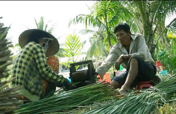 Lạ mà hay: Trồng loài cỏ dại dân ở đây lại khá, giàu-3