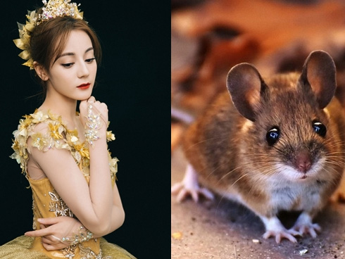 6 con giáp cứ sống HIỀN LÀNH LƯƠNG THIỆN sẽ nhanh chóng thoát khổ, PHÚC LỘC SONG TOÀN nằm trên tiền sau tuổi 35-3