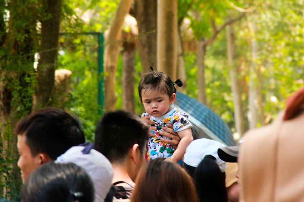 Thảo Cầm Viên vỡ trận, người lớn mắc võng nằm vật vờ, trẻ em khóc thét giữa trời nắng gắt-17