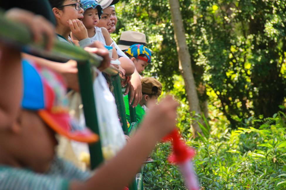 Thảo Cầm Viên vỡ trận, người lớn mắc võng nằm vật vờ, trẻ em khóc thét giữa trời nắng gắt-23