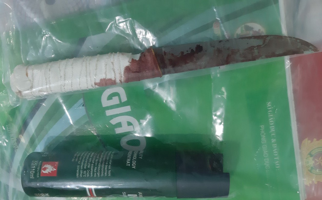 Cô gái 18 tuổi cầm dao đâm chết chồng hờ bị khởi tố-1