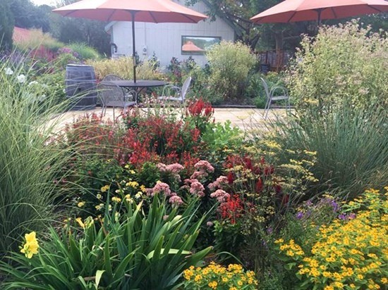 Bỏ hào quang sang Mỹ, Hoa hậu Ngọc Khánh viên mãn sống đời giản dị, trồng nho phụ chồng-13