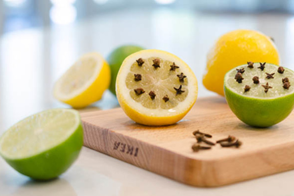 Bằng công thức rẻ bèo chỉ mất 1000 đồng mà loại bỏ được cả đàn muỗi hút máu”, truyền bệnh ra khỏi nhà-1