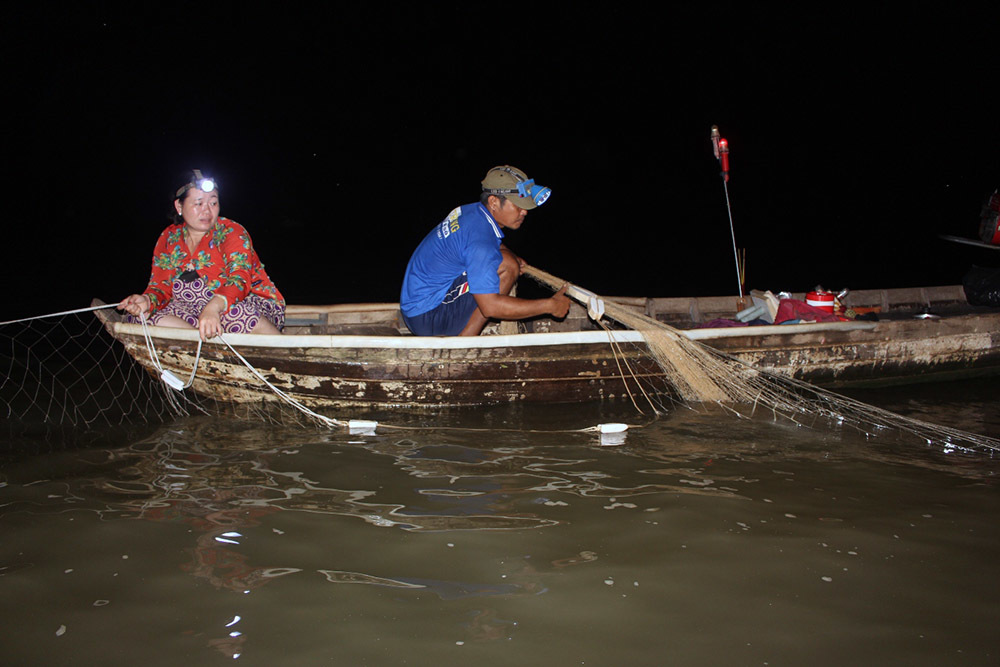 Nhân sâm nước của hiếm miền Tây: Cuộc đi săn trắng đêm-3