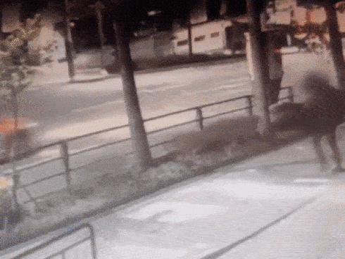 Nam diễn viên Hàn ngáo đá, la hét và lao qua hàng rào giữa đường