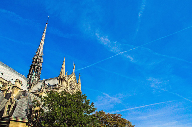 Dân mạng Việt thảng thốt, giăng status xót xa trước vụ cháy Nhà thờ Đức Bà Paris-3