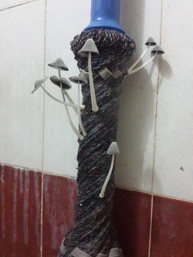 Để nấm mọc đầy trên chổi lau sàn, gia chủ bị dân mạng hỏi khó: Nhà này bao lâu chưa lau?-1