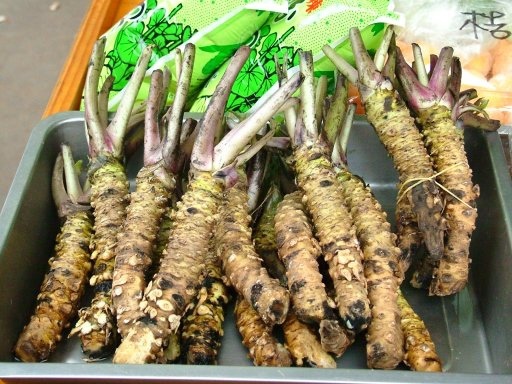 Loại cải vừa cay vừa đắng, giá bán tới 2 triệu đồng/kg-1