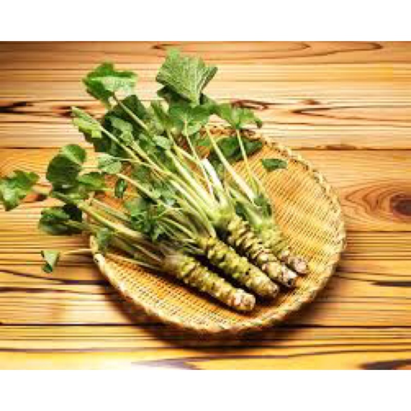 Loại cải vừa cay vừa đắng, giá bán tới 2 triệu đồng/kg-2