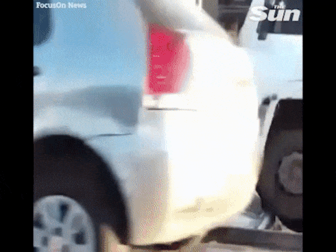 Bị chó đuổi, tài xế xe máy té giữa đường-1