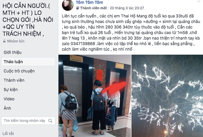 Thâm nhập đường dây mang thai hộ: Ăn, nằm và chờ…đẻ-1