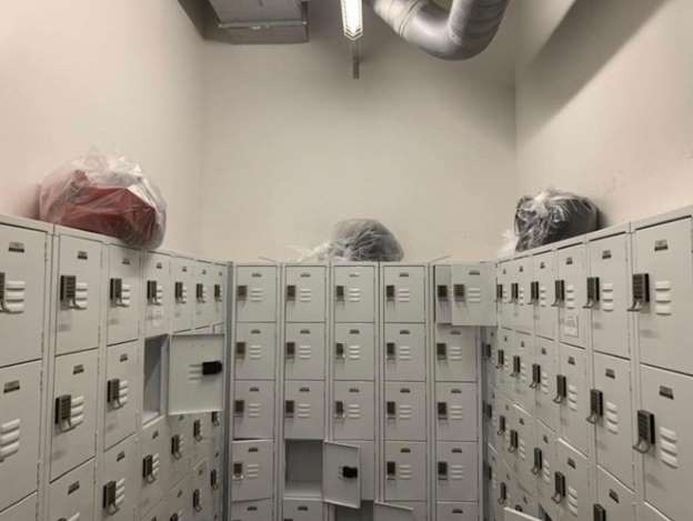 Bị rệp tấn công quá đông và hung hãn, Apple Store ở New York phải đóng cửa-2