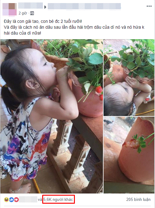 Quyết giữ lời hứa không hái quả của dì, cô bé 2 tuổi khiến người ta cười bò với cách trộm dâu độc nhất vô nhị-1