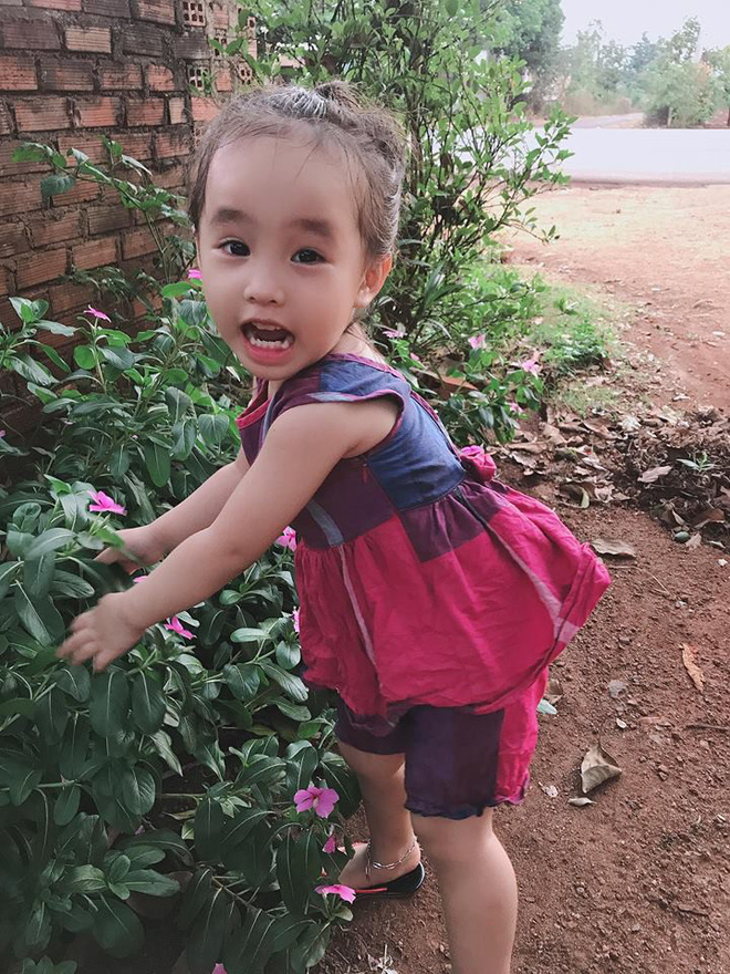 Quyết giữ lời hứa không hái quả của dì, cô bé 2 tuổi khiến người ta cười bò với cách trộm dâu độc nhất vô nhị-2