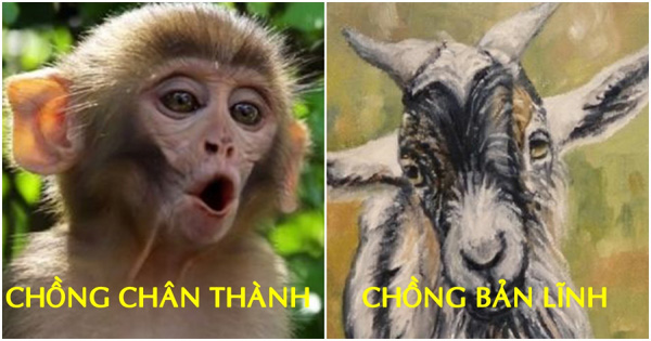 12 nàng giáp phải lấy chồng có đức tính này mới trăm bề THUẬN, làm đâu thắng đó, hòa hợp trăm năm-2