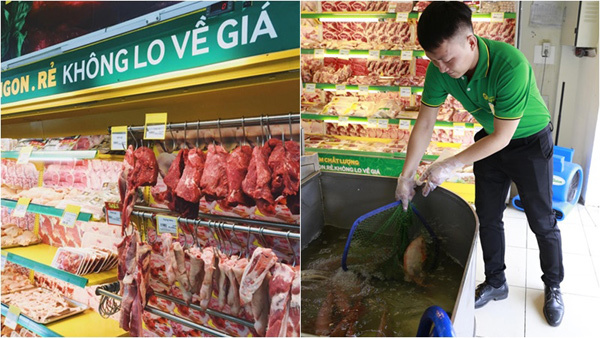 Bách hóa Xanh - ‘ông trùm’ bán lẻ hàng tươi sống-1