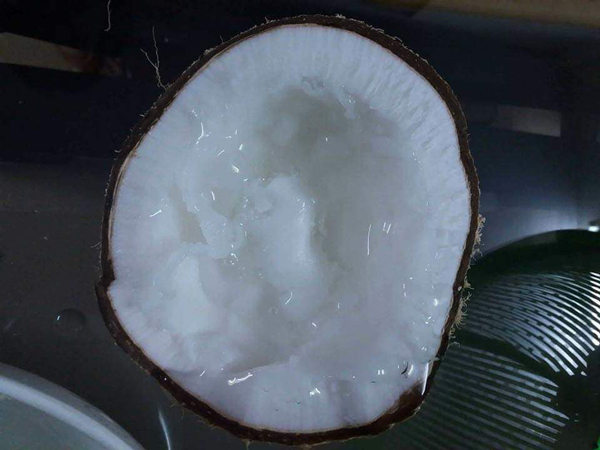 Đắt gấp 20-25 lần dừa thường, loại dừa này vẫn luôn cháy hàng-1