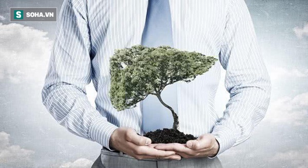 Gan yếu thì toàn thân mệt: 4 thực phẩm khiến gan phải làm việc quá sức mà sinh bệnh-1