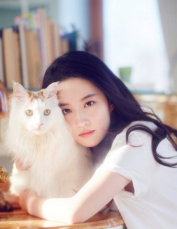 Chỉ cần nuôi đúng LINH VẬT hợp số mệnh, 12 con giáp sẽ giàu lên vùn vụt, vận đỏ chói ngời-2