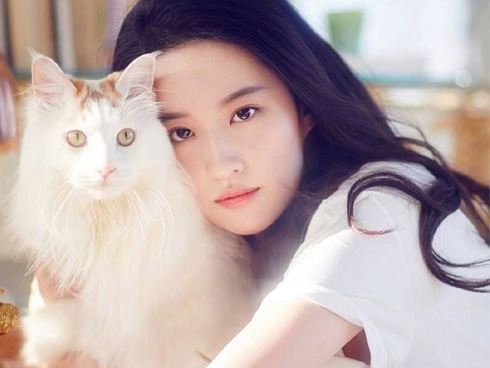 Dự báo tử vi tháng 5/2019 của 12 con giáp: Tuổi Dần gặp cát lợi, Mùi có lộc làm ăn-5
