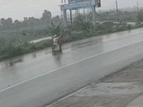 Đường trơn, xe khách phóng nhanh suýt tông trúng CSGT đang phân làn