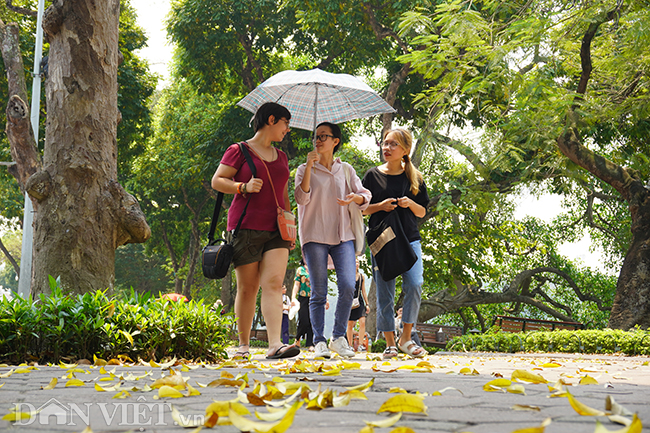 ẢNH: Người Hà Nội vật vã” trước nắng nóng gần 40 độ C-11