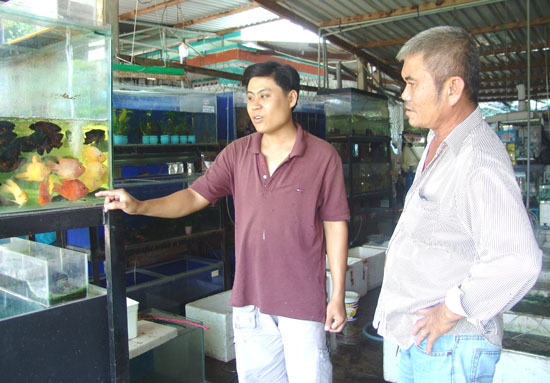 Bán con tép tý hon hơn 50 triệu: Anh kỹ sư Sài Gòn kiếm đậm-2