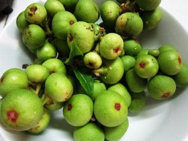 Quả sung: Những tác dụng tuyệt vời đối với sức khỏe và làm đẹp-2