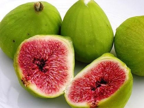 Quả sung: Những tác dụng tuyệt vời đối với sức khỏe và làm đẹp