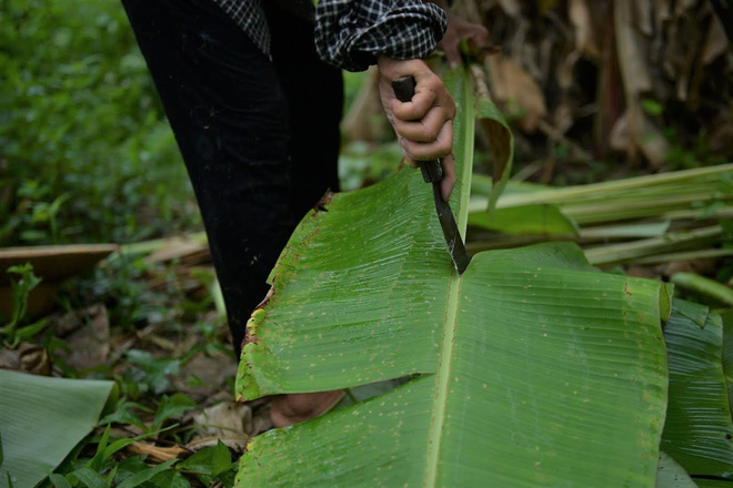 Nghề độc ở Hà Nội: Bán lá chuối rừng, kiếm hàng chục triệu đồng mỗi tháng-7