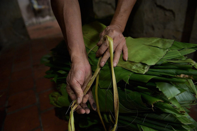 Nghề độc ở Hà Nội: Bán lá chuối rừng, kiếm hàng chục triệu đồng mỗi tháng-8
