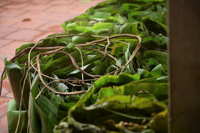 Nghề độc ở Hà Nội: Bán lá chuối rừng, kiếm hàng chục triệu đồng mỗi tháng-9