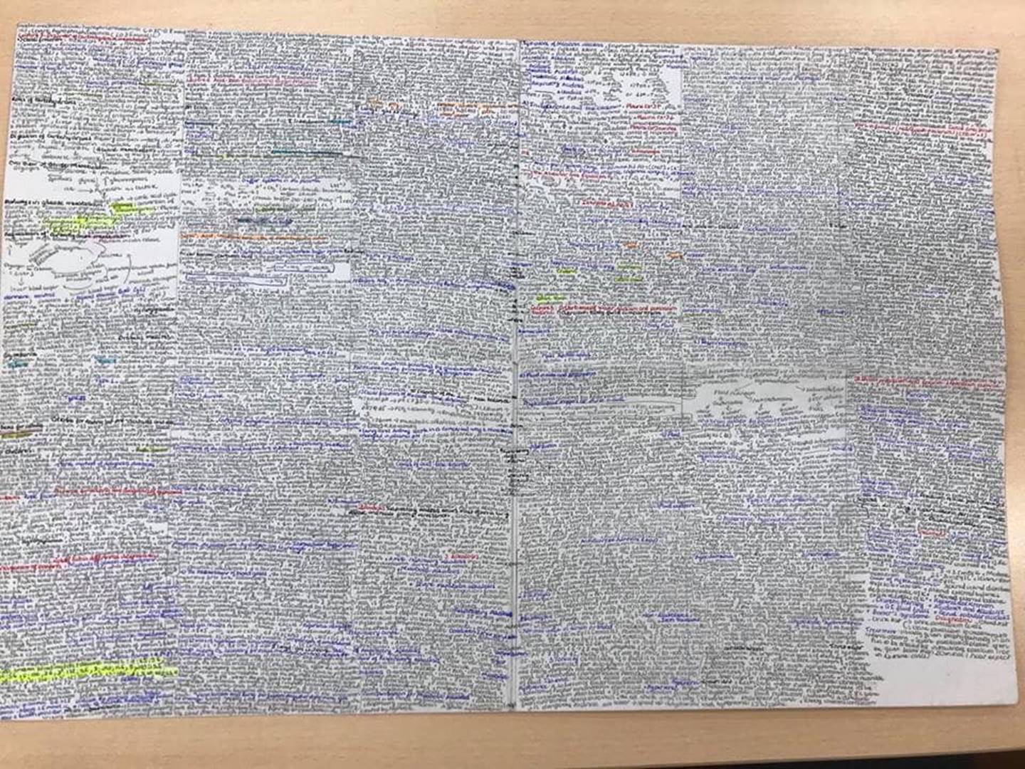 Giáo viên cho mang 1 tờ giấy ghi kiến thức vào phòng thi, sinh viên chép sương sương cũng được cả quyển sách!-5