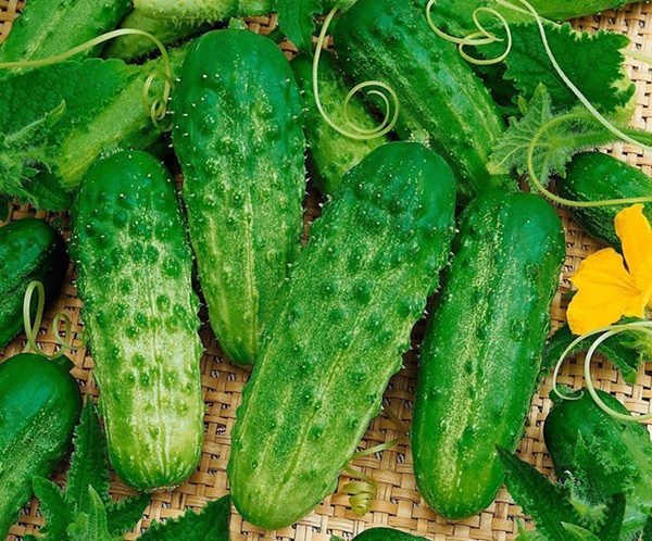 7 loại trái cây giải nhiệt bạn nên ăn khi nắng nóng-2