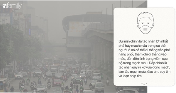 Chất lượng không khí Việt Nam ô nhiễm báo động: Đeo khẩu trang không mấy tác dụng-15
