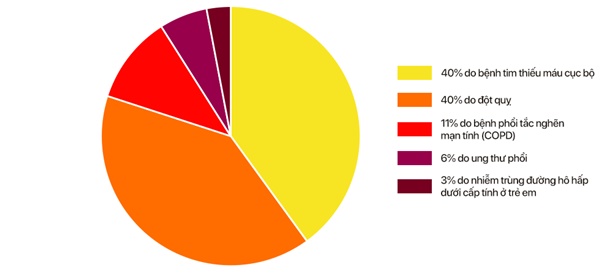 Chất lượng không khí Việt Nam ô nhiễm báo động: Đeo khẩu trang không mấy tác dụng-17