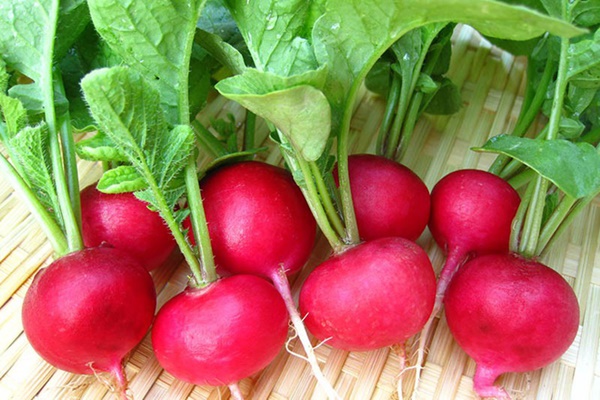 Muốn loại bỏ sỏi thận triệt để: Quan trọng nhất là giữ mồm giữ miệng trước những món này-3